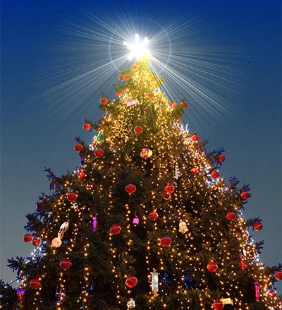 Rockefeller Tree | Christmas Experience | St. Augustine, FL