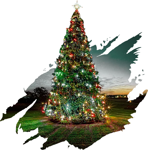 45 Foot Rockefeller Tree Christmas Experience at Ancient City Farmstead | St. Augustine, FL