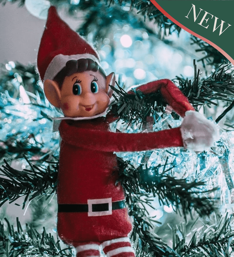 Elf Training Camp | Christmas Experience | St. Augustine, FL