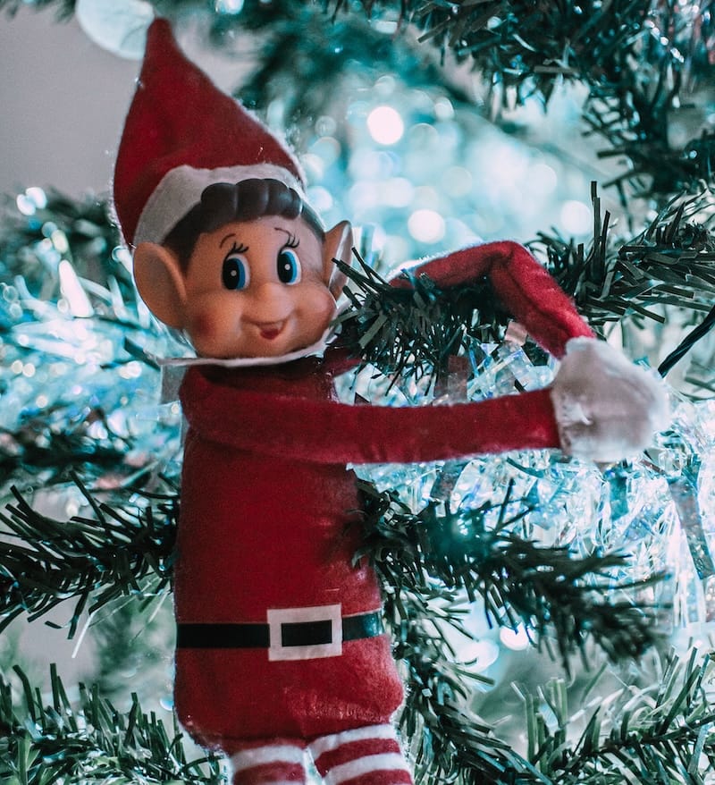 Elf Training Camp | Christmas Experience | St. Augustine, FL